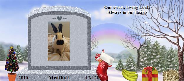 Meatloaf's Rainbow Bridge Pet Loss Memorial Residency Image