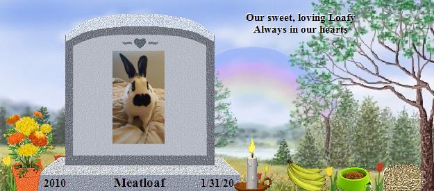 Meatloaf's Rainbow Bridge Pet Loss Memorial Residency Image