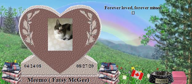 Meemo ( Fatsy McGee)'s Rainbow Bridge Pet Loss Memorial Residency Image