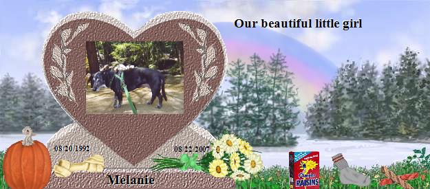 Melanie's Rainbow Bridge Pet Loss Memorial Residency Image