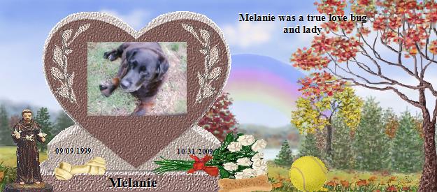 Melanie's Rainbow Bridge Pet Loss Memorial Residency Image