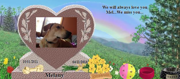 Melany's Rainbow Bridge Pet Loss Memorial Residency Image