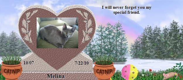 Melina's Rainbow Bridge Pet Loss Memorial Residency Image