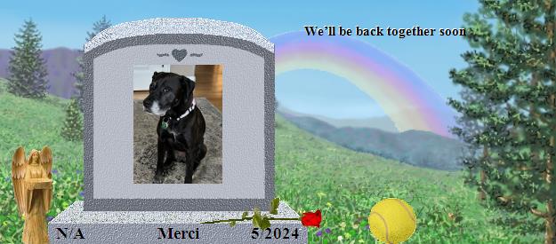 Merci's Rainbow Bridge Pet Loss Memorial Residency Image