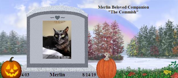 Merlin's Rainbow Bridge Pet Loss Memorial Residency Image