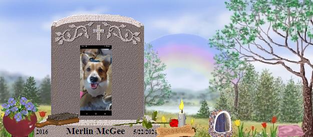 Merlin McGee's Rainbow Bridge Pet Loss Memorial Residency Image