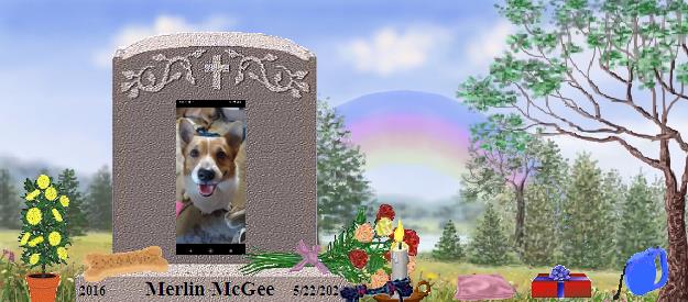 Merlin McGee's Rainbow Bridge Pet Loss Memorial Residency Image