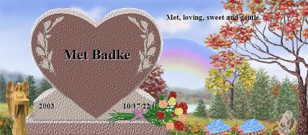 Met Badke's Rainbow Bridge Pet Loss Memorial Residency Image