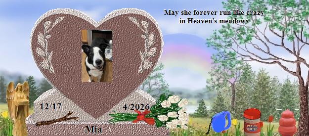 Mia's Rainbow Bridge Pet Loss Memorial Residency Image