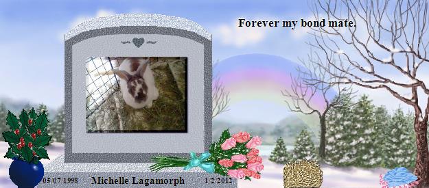 Michelle Lagamorph's Rainbow Bridge Pet Loss Memorial Residency Image