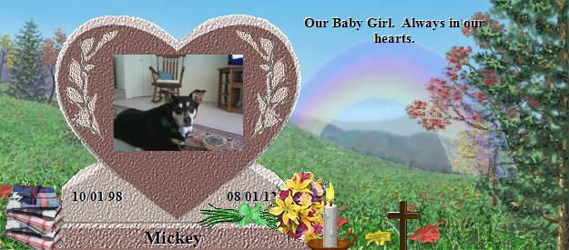 Mickey's Rainbow Bridge Pet Loss Memorial Residency Image