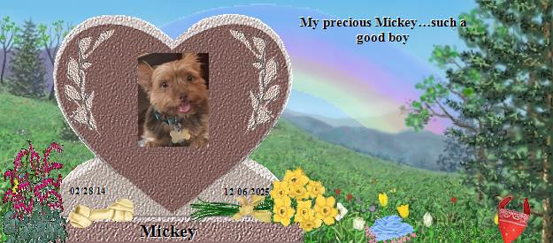 Mickey's Rainbow Bridge Pet Loss Memorial Residency Image