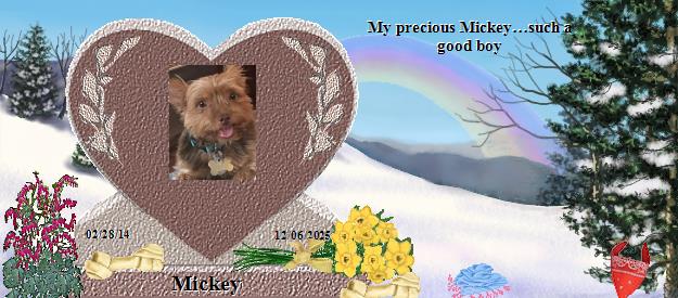 Mickey's Rainbow Bridge Pet Loss Memorial Residency Image