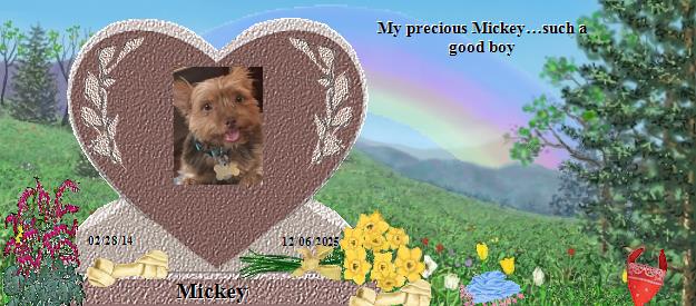 Mickey's Rainbow Bridge Pet Loss Memorial Residency Image
