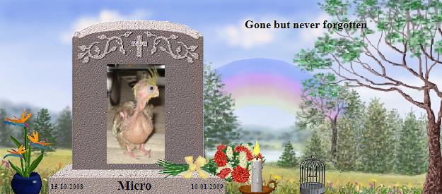 Micro's Rainbow Bridge Pet Loss Memorial Residency Image