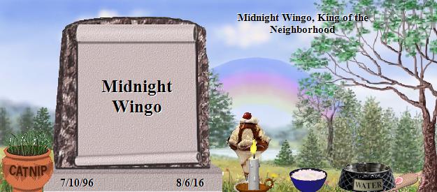 Midnight Wingo's Rainbow Bridge Pet Loss Memorial Residency Image