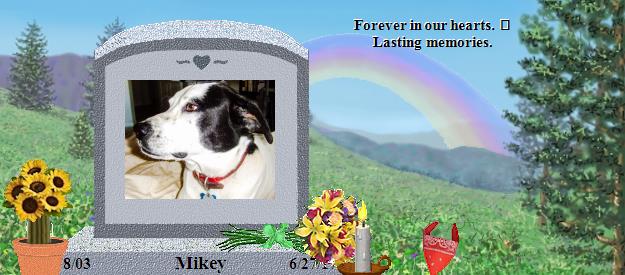 Mikey's Rainbow Bridge Pet Loss Memorial Residency Image