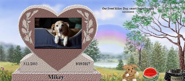 Mikey's Rainbow Bridge Pet Loss Memorial Residency Image