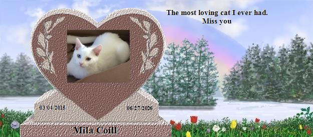 Mila Coill's Rainbow Bridge Pet Loss Memorial Residency Image