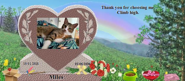 Miles's Rainbow Bridge Pet Loss Memorial Residency Image