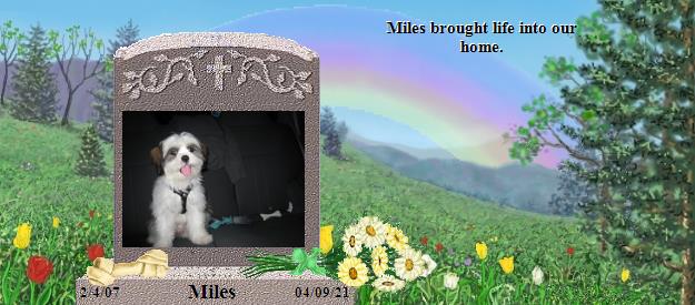 Miles's Rainbow Bridge Pet Loss Memorial Residency Image