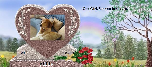 Millie's Rainbow Bridge Pet Loss Memorial Residency Image