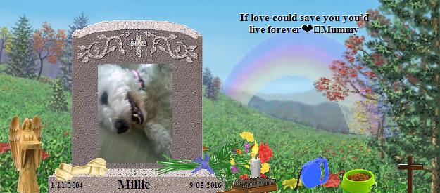 Millie's Rainbow Bridge Pet Loss Memorial Residency Image