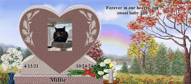 Millie's Rainbow Bridge Pet Loss Memorial Residency Image