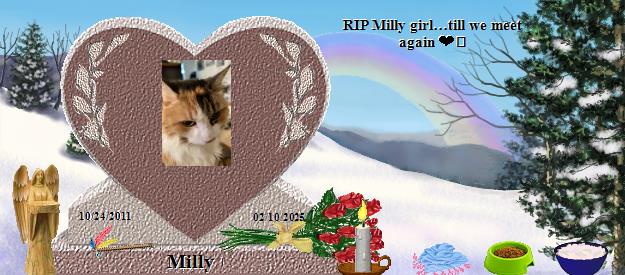 Milly's Rainbow Bridge Pet Loss Memorial Residency Image