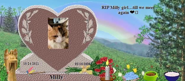 Milly's Rainbow Bridge Pet Loss Memorial Residency Image