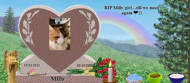 Milly's Rainbow Bridge Pet Loss Memorial Residency Image