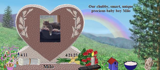 Milo's Rainbow Bridge Pet Loss Memorial Residency Image