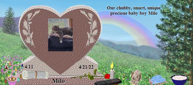 Milo's Rainbow Bridge Pet Loss Memorial Residency Image
