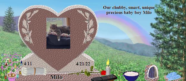 Milo's Rainbow Bridge Pet Loss Memorial Residency Image