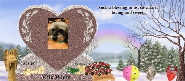 Milo White's Rainbow Bridge Pet Loss Memorial Residency Image