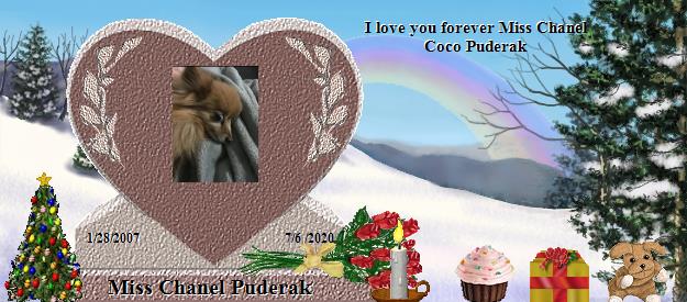 Miss Chanel Puderak's Rainbow Bridge Pet Loss Memorial Residency Image