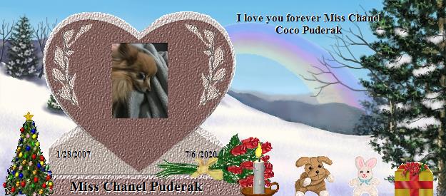 Miss Chanel Puderak's Rainbow Bridge Pet Loss Memorial Residency Image