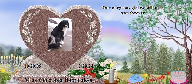 Miss Coco aka Babycakes's Rainbow Bridge Pet Loss Memorial Residency Image