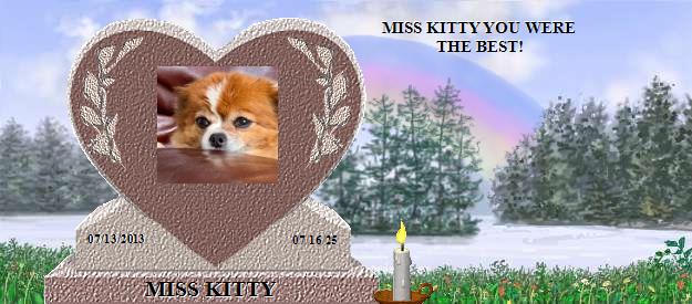MISS KITTY's Rainbow Bridge Pet Loss Memorial Residency Image