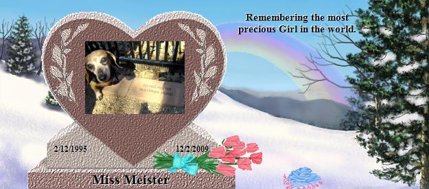 Miss Meister's Rainbow Bridge Pet Loss Memorial Residency Image