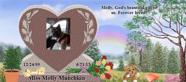 Miss Molly Munchkin's Rainbow Bridge Pet Loss Memorial Residency Image