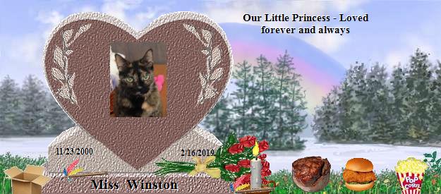 Miss  Winston's Rainbow Bridge Pet Loss Memorial Residency Image