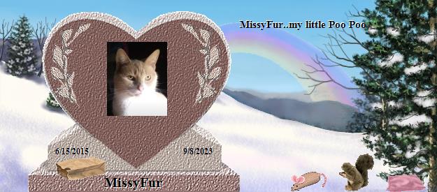MissyFur's Rainbow Bridge Pet Loss Memorial Residency Image