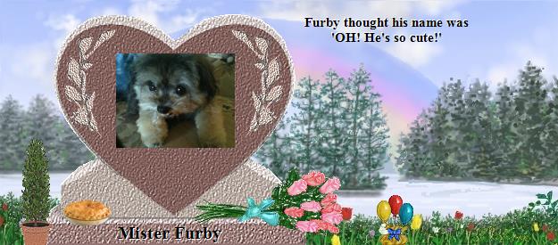 Mister Furby's Rainbow Bridge Pet Loss Memorial Residency Image