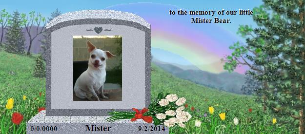 Mister's Rainbow Bridge Pet Loss Memorial Residency Image