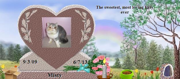 Misty's Rainbow Bridge Pet Loss Memorial Residency Image