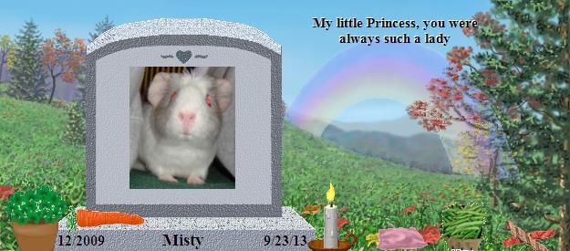 Misty's Rainbow Bridge Pet Loss Memorial Residency Image