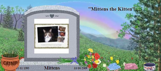 Mittens's Rainbow Bridge Pet Loss Memorial Residency Image