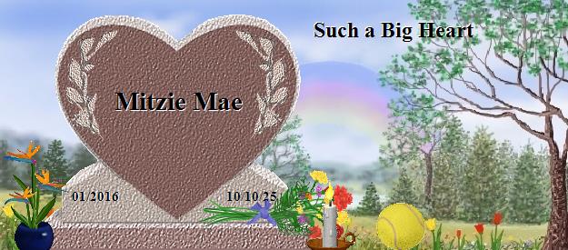 Mitzie Mae's Rainbow Bridge Pet Loss Memorial Residency Image