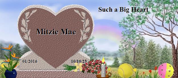 Mitzie Mae's Rainbow Bridge Pet Loss Memorial Residency Image